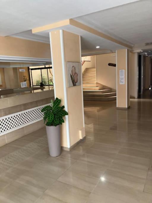 Apartament Sunset Aliss Puerto de Santiago  Esterno foto